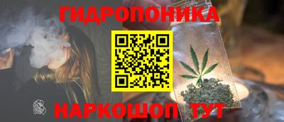 бошки Будённовск