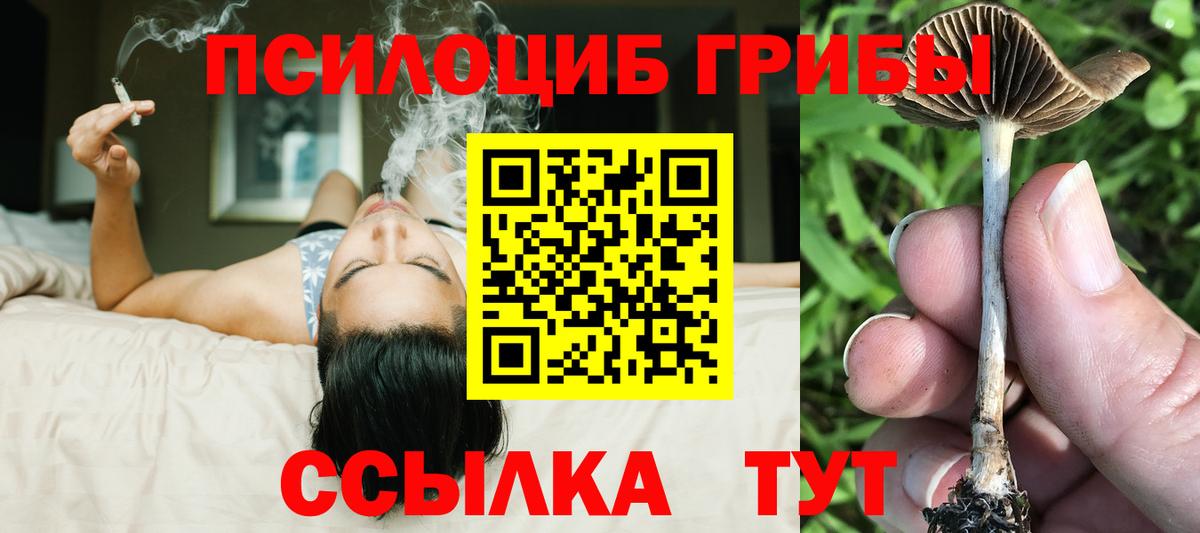 Обь  купить закладку  Вход с VPN  Псилоцибиновые грибы Magic Shrooms 
